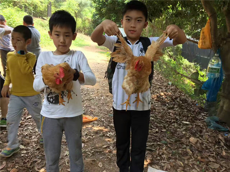 QQ圖片20170602142912.jpg QQ圖片20170602142912.jpg