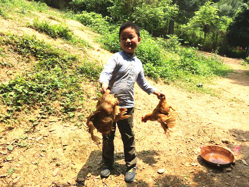 微信圖片_20170608092840.jpg 微信圖片_20170608092840.jpg