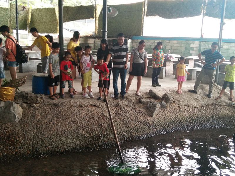 QQ圖片20170916145127.jpg QQ圖片20170916145127.jpg