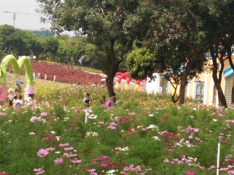 QQ圖片20171003140343_副本.jpg QQ圖片20171003140343_副本.jpg