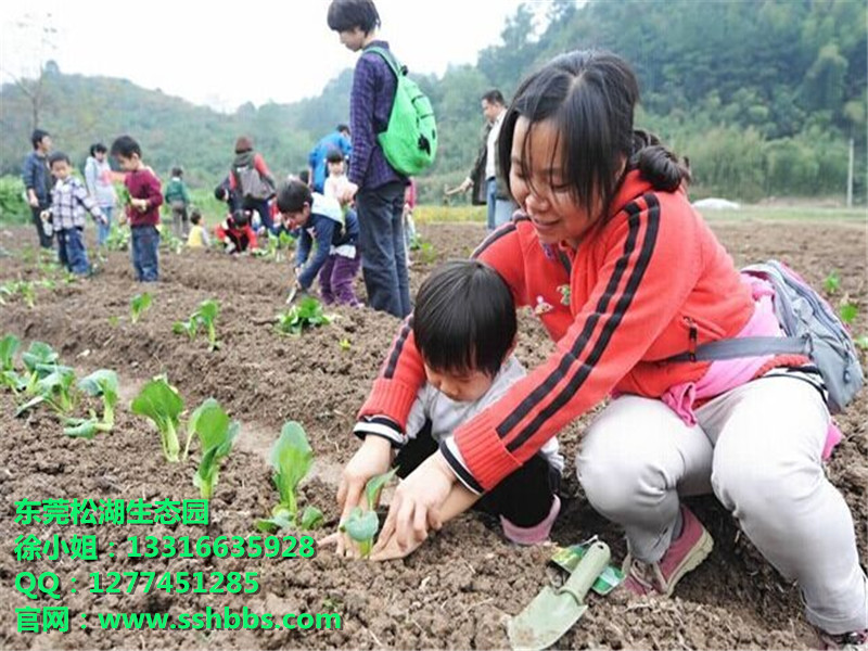 4_副本.jpg 4_副本.jpg