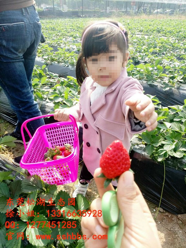 QQ圖片20180112102403.jpg QQ圖片20180112102403.jpg