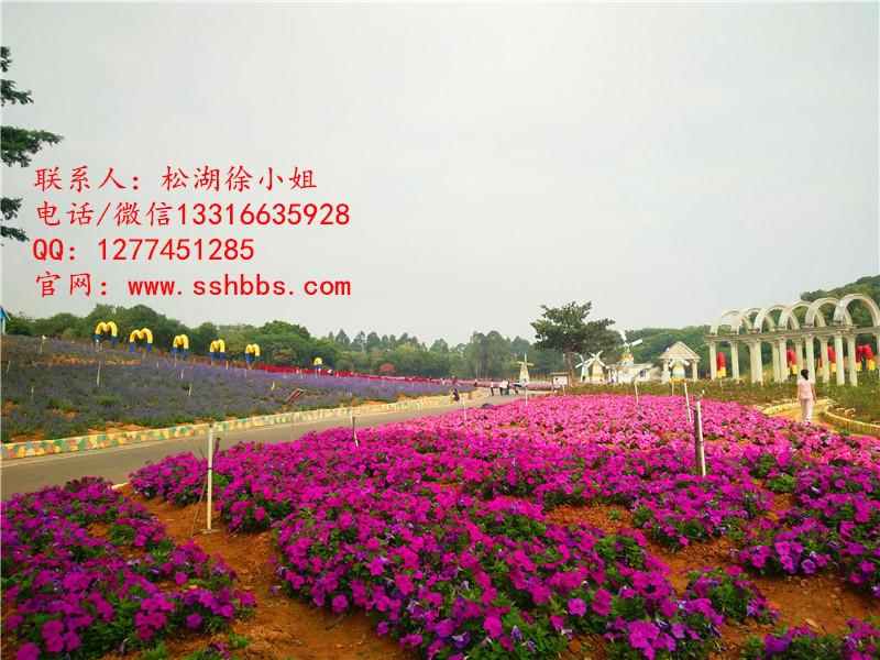 QQ圖片20171119083752_副本_副本_副本.jpg QQ圖片20171119083752_副本_副本_副本.jpg