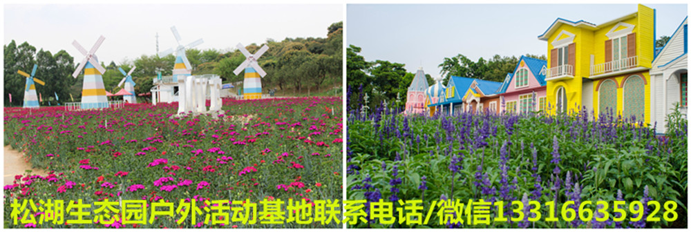 百花_副本.jpg 百花_副本.jpg