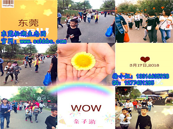 親子游_副本.jpg 親子游_副本.jpg