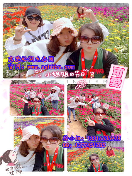 百花觀賞 (2)_副本.jpg 百花觀賞 (2)_副本.jpg