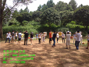 團(tuán)隊(duì)活動(dòng)有安全保障嗎？是否有保險(xiǎn)？