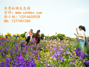 夏季旅行，你必須知道的那些事兒！