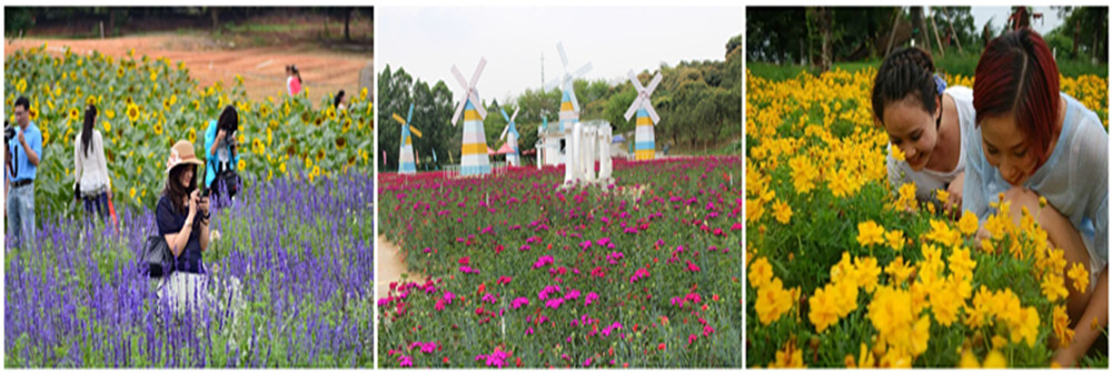 百花觀景 (2).jpg 百花觀景 (2).jpg