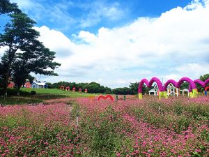 松山湖農(nóng)家樂(lè)團(tuán)建活動(dòng)策劃 松山湖農(nóng)家樂(lè)一日游攻略