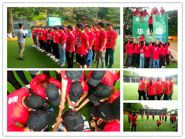 拓展 (4).jpg 拓展 (4).jpg