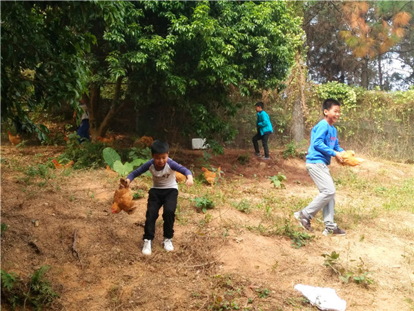 QQ圖片20171206095237_副本.jpg QQ圖片20171206095237_副本.jpg