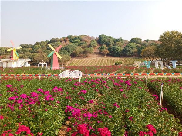 IMG_20191214_102935.jpg IMG_20191214_102935.jpg