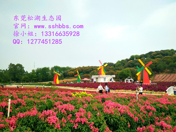 IMG_20180401_121500_副本.jpg IMG_20180401_121500_副本.jpg