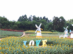 到東莞農(nóng)家樂(lè)松湖生態(tài)園領(lǐng)略初秋的美