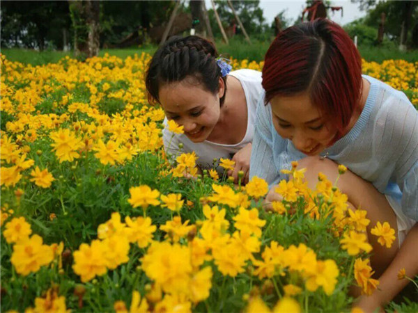 QQ圖片20150603113543.jpg QQ圖片20150603113543.jpg