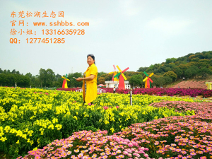 七夕節(jié)帶著心愛(ài)的那個(gè)她（他）到松湖生態(tài)園開(kāi)啟浪漫之旅