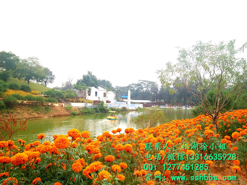 QQ圖片20171112091301_副本 (2)_副本.jpg QQ圖片20171112091301_副本 (2)_副本.jpg